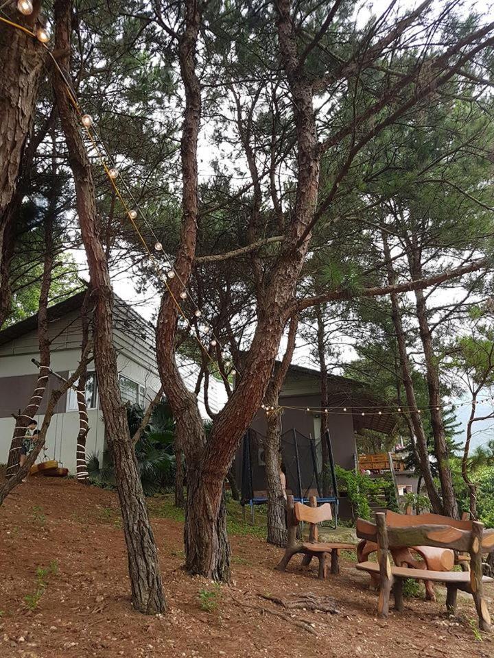 Bachlien Pine Forest Villa Hanoi Exterior foto